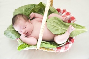 baby in a lettuce basket
